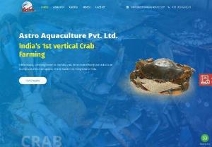 Mud crab farming - Looking for a leading Mud Crab farming and exporting company? Find Astro Aquaculture, the very first Indian company providing Crabs from Vertical Mud Crab Farming method.