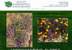 hydroseed ground cover southern california - In Southern California, if you want or need an experienced reseeding contractor, turn to Quality Hydroseeding. To know more about our services visit our site.