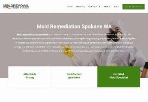 Mold Remediation Spokane WA - 