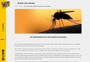 What Keeps Mosquitoes Away? Best Mosquito Killer For Home - Do you know the deadliest animal on the earth? No, it's not a tiger, cobra or bear. When you consider the havoc it creates in people's lives every single day, it has to be mosquitoes.