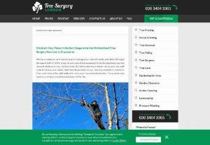 Tree surgery in Gravesend on amazing fee - Take advantage of one of the most reliable gardeners and tree surgeons in Gravesend and all the London areas. 