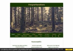 Feeparlanature - Feeparlanature offers unique creations on the themes of nature combining the magical and Celtic world.
All engravings are made by me and entirely by hand.
Enhance your interior according to your character and your taste!