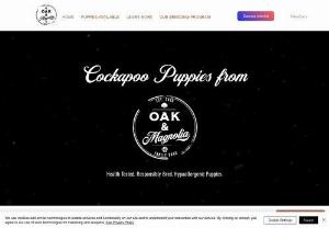 Cockapoo Puppies For Sale Near Me | Oak and Magnolia - Providing families with hypo-allergenic cockapoo puppies. Become part of the Oak and Magnolia community of dog-lovers. We're in Nashville,Tennessee and Stow, Ohio.