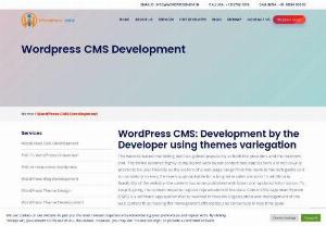 Best CMS developer in India - Hire this company for all types of CMS developers in India. Call this company today for all types of website development.