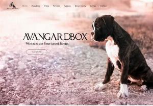 Avangardbox - Hobby Boxer dog breeder, Lisbon dog breeder, boxer dog, boxer puppies, boxer Portugal, avangardbox