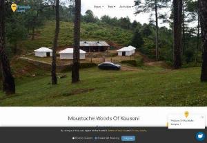 Stay in Kausani hill station Uttarakhand - The Woods of Kausani Hills in the Kausani hill station in Uttrakhand. The Moustache woods of Kausani is situated at the Kausani hill station in the middle of charming pine forests.
where you can see the view of Trishul Mountain and this campsite is located at the center of the forest so it's also a great experience to stay in luxury tents. From the Moustache Woods of Kausani, campsite guest can make a plan for the treks like Jhandi Dhar Top and Daray Top and it's also organized by Moustache.