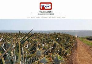 Wegro Farming (Pty) Ltd - Wegro Farming (Pty) Ltd is a third-generation family-runned business that is the largest Queen pineapple producer in South Africa.