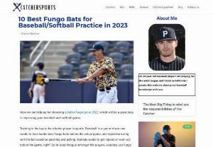 Best Fungo Bats 2021 | Catcher Sports - Here we are helping for choosing a better Best fungo bats in 2021, which will be a great help in improving your baseball and softball game.