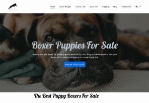 Boxer Puppies For Sale - We raise Boxer Puppies from champion bloodlines which is a full-time job. We are professional breeders. We have over 22 years of experience in running a highly successful breeding program. Most of all we love our dogs! We have placed our Beautiful babies with families from all over the United States and Canada. Go through our website to see the puppies available for sale