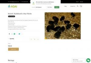Aqgromalin - order live input materials for poultry and aquaculture. Poultry feed and fish seed direct delivery available ducks and quail unit farms setup assistance and buy back from aqai aqgromalin