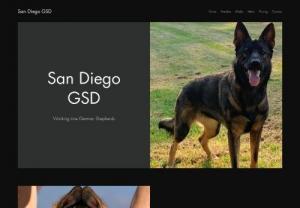 San Diego GSD - At San Diego GSD, we pride ourselves in breeding pure, working line German Shepherd Dogs with top quality genetics and beauty. We understand that not all of our puppies are future working dogs and may be family pets, so temperament and obedience are a focus when selecting our breeding pairs.