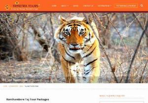 Ranthambore Taj Tour Packages - Ranthambore National Park and tour packages just as in Agra which is a well known city for one of the Seven Wonders of the World Our safaris into the Ranthambore National park will also be a thrilling experience; one that will remain with you for long. selecting this visit bundle will to be sure satisfy your vision of a visit that ought to have sentiment with experience. The 8 itinerary Taj & Tigers of India will take you in the cities of Delhi, Jaipur, Ranthambore, Fatehpur Sikri, & Agra.
