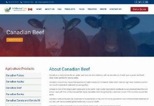 Canadian Meat Export Company - Canada is a place where the air, water, and land are all in balance, with an abundance of wide open spaces and fresh clean water perfect for raising cattle.

Canada's cool climate means the selection of cattle breeds isn't limited to cattle which tolerate high heat conditions (which can result in potentially reduced carcass quality).

Canada is one of the largest grain producers in the world. High quality feed grains contribute to well-marbled, flavorful and tender meat with firm...