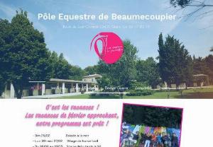 Beaumecoupier Equestrian Center - Teaching, initiation, show jumping or horse-ball competition, boarding, development or breeding are offered all year round at the Beaumecoupier equestrian center in a family atmosphere, an ideal setting, and under the impetus of a competent teaching team