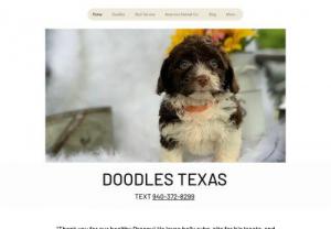 Doodle Puppies Texas - Doodle Puppies Texas has the best Doodle Puppies! We believe in health and confirmation.