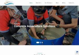 3 Little Fish - 3 Little Fish is a Malaysia aquaculture water treatment products company specializing in fish hormones for spawning, fish breeding hormone & fish disinfectant.