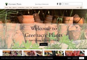 Greenacre Plants - Buy sempervivums / houseleeks, succulents, and other garden plants from our online plant store, based in Norfolk. 
Welcome to Greenacre Plants
