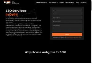 Screenshot of SEO Services Delhi