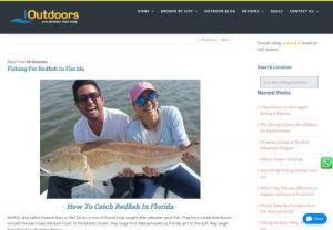 Fishing For Redfish In Florida - Redfish, also called Channel Bass or Red Drum, is one of Florida's top sought-after saltwater sport fish. Here are some key points like the best time, or the best bait or technique that you need to know to successfully catch redfish.