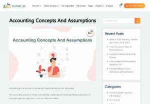 Accounting Concepts And Assumptions - The accounting process includes summarising, analysing, and reporting these transactions to oversight agencies, regulators, and tax collection entities.