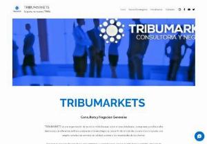 TribuMarkets - We are a group of professionals who share a mutual goal, oriented to develop and implement integral solutions for People, Companies and Organizations, incorporating our experience and continuous improvement as an essential concept.