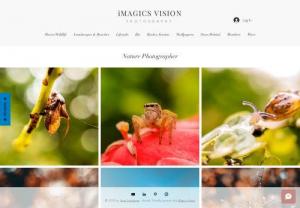 iMagics Vision - A passionate photographer who can deliver the best output for you in case of editorial, fashion, wildlife, travel photography. And our services are available online too so feel free to connect with us.