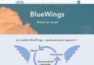 BlueWings - IT consulting and services for large companies in the insurance, banking and industrial sectors