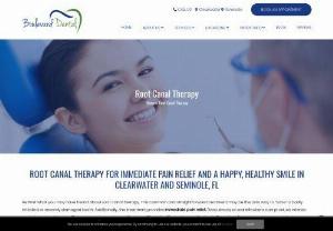 Root Canal Therapy Clearwater and Seminole FL - Save Your Tooth with Root Canal Therapy in Clearwater and Seminole FL. Call the skilled team at Boulevard Dental for restorative treatments (727) 758-2898