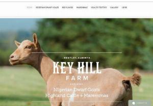Key Hill Farm - Registered Nigerian Dwarf Goats, Registered Babydoll Sheep + Registered Highland Cattle