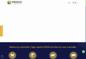 Prorich Agro Foods - Rice Gluten Manufacturer for Poultry Feed - Prorich Agro Foods, a leading manufacturer and supplier of rice gluten in poultry feed in India, provides ddgs feed supplements for cattle, fish, and poultry. Rice gluten is used in poultry, cattle, and aquaculture for nutritional protein requirements.