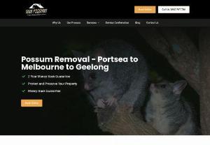 Possum Removal Cost Near Melbourne - Are you looking for a possum removal service in Melbourne? Our expert team provides the best quality service at affordable prices. Contact us today!