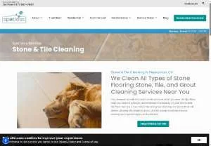 Screenshot of Tile and Grout Cleaning