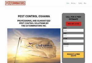 Pest Control Oshawa- The Exterminators - Pest Control Oshawa offers reliable pest control and wildlife removal services. Our technicians are licensed, insured, and experienced to deal with any pest. Call us: 905-581-378. We exterminate rats, mice, ants, bed bugs, and wasps and humanely remove raccoons, squirrels, and more. We provide extensive warranties, and our services are guaranteed.