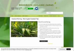 Coconut Farming - Organic Coconut Farming Methods