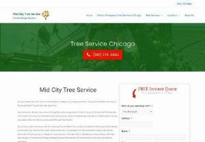 Midcity Tree Service Chicago - Do you need tree trimming or Stump grinding? We are the best tree service provider in Chicago, Illinois. We are skilled experts and ready to help you with our professional Tree Service. Our service includes manicuring and maintaining leaves, branches, and hedges, tree and stumps removals, etc.