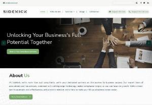 Sidekick help you to engage with professionals for your busines in pakistan - Vetted business professionals on Sidekick provide you, expert, fast, and affordable Online services in Pakistan that match your business