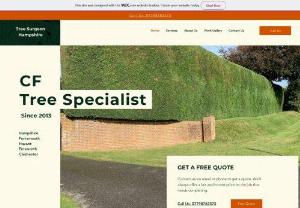 CF Tree Specialist - We are professional Tree Surgeons based in Hampshire, Havant, Portsmouth, Chichester, Southampton and surrounding areas. We specialize & provide services in all aspects of Tree Surgery & Tree Care trees, hedges, shrubs, tree stumps, planting, maintaining and can advise on what course of action is best needed to suit your needs