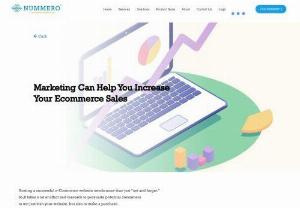 Marketing Can Help You Increase Your Ecommerce Sales - Hosting a successful e-Commerce website needs more than just 