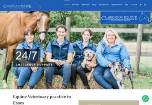 Best Vets In Chelmsford | Clarendon Equine - Based in Chelmsford, Clarendon Equine is the best vets in Essex. We offer inexpensive equine veterinary services including Castrations, Dentistry, Endoscopy, Euthanasia, Export Certification, In-patient care, Lameness examinations, and Emergency callouts. Our equine vets are professionally trained and have years of experience in treating horses with the utmost care and effectiveness. Whether your equine animals require regular check-ups or complicated surgery.