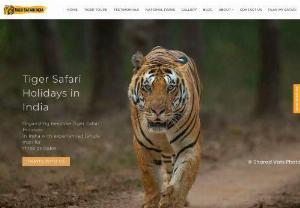 Tiger Safari India - We are an online tour operator based in New Delhi and recognized by Ministry of Tourism as inbound tour operator for India. We have been curating bespoke wildlife tours in India for over twenty years, Nature Safari India brings to the most luxurious yet rustic tiger safari experiences in the wild. Tour the tiger country with our tailor-made tiger tours, tiger and culture tours, photography tours, birding tours and even species-specific tours. Each of these tours are guided by skilled naturalis