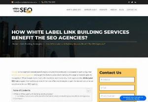 How White Label Link Building Services Benefit The SEO Agencies - We have all the necessary details on how White Label Link Building can be so beneficial to your SEO agency. Contact us for a free consultation.