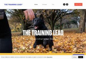 The Training Lead - One-to-one dog and puppy training in Glasgow, focused on general obedience or specific behavioural issues.