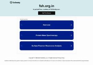 FSH Infotech - IT Services Agency