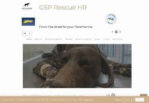 GSPrescuehr - We from GSPrescuehr, rescue, take care and rehome German Shorthaired Pointers. Adopt a German Shorthaired Pointer with us.