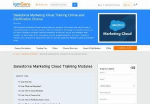 salesforce marketing cloud training - igmGuru's Salesforce Marketing Cloud training is designed as per the latest curriculum by the industry expert trainers. Salesforce Marketing Cloud Course credential is designed for individuals who want to demonstrate their knowledge, skills, and experience in the following areas: email marketing best practices, message design, subscriber and data management, inbox delivery, email automation, and tracking and reporting metrics within the Marketing Cloud Email application.