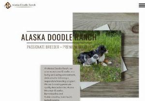 Alaska Doodle Ranch - At Alaska Doodle Ranch, we raise exceptional Doodles in a loving and caring environment, dedicated to following a responsible breeding program.

We are breeding premium quality Aussiedoodles, Aussie Mountain Doodles, Bernedoodles and Goldendoodles from health tested parents.