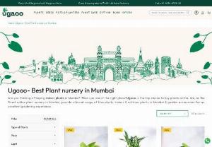 Ugaoo- Best Plant nursery in Mumbai - Ugaoo is the top online plant nursery in Mumbai. We offer the best quality seeds, live plants, garden tools & plant care products with plant home delivery in Mumbai.