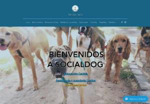 SocialDog - Professionals specialized in Canine Education in C�diz, whose objective is to understand dogs in order to help them integrate into society.