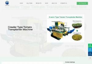 tomato transplanter - The tomato transplanter is an automatic vegetable transplanter for transplanting tomato seedlings. Tomatoes have now become a vegetable that people eat in daily life.