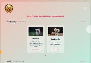 Best dog breeders in bangalore - Banglore Puppy farm - Best dog breeders in Bangalore. We are Bangalore Puppy Farm, the farmers who breed best friends.
